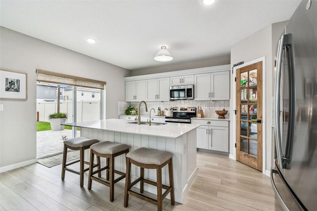 34245 VERBENA STREET, Wesley Chapel, FL 33545