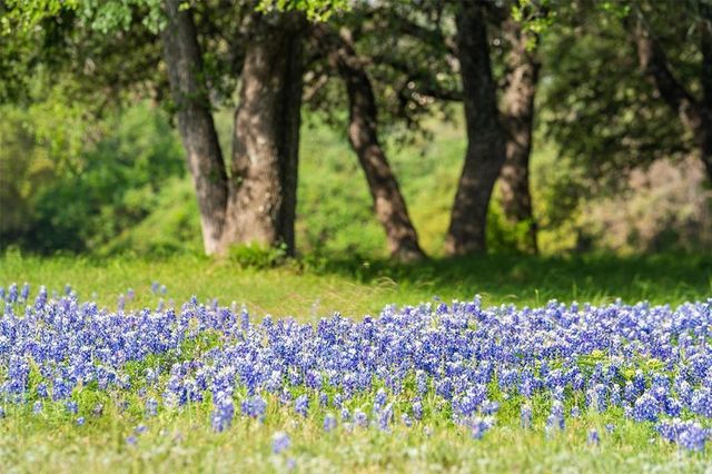27132 Founders PL, Spicewood, TX 78669