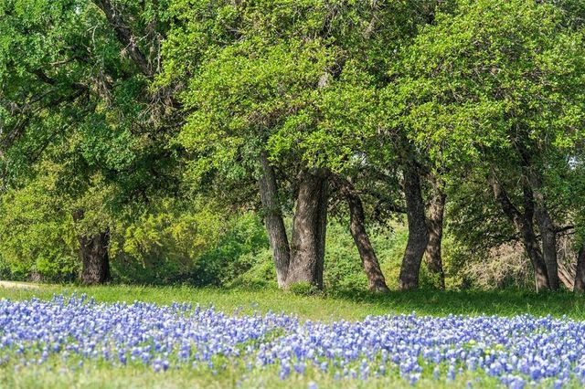 27132 Founders PL, Spicewood, TX 78669
