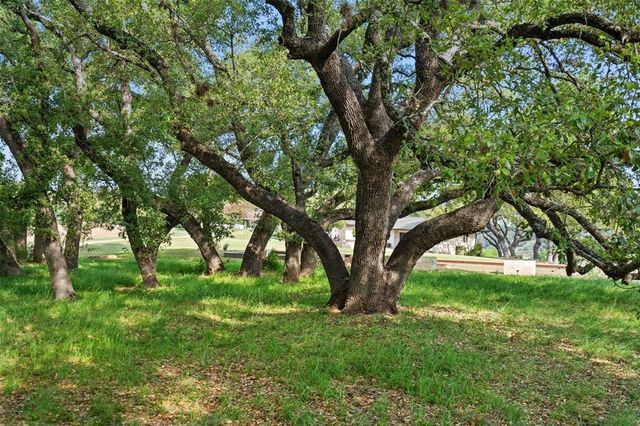 27132 Founders PL, Spicewood, TX 78669