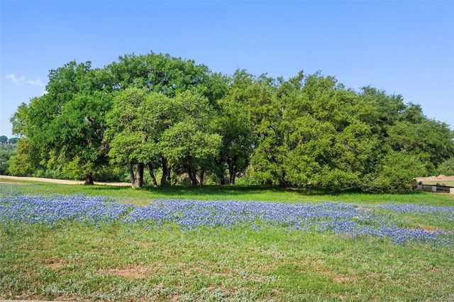 27132 Founders PL, Spicewood, TX 78669