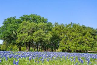 27132 Founders PL, Spicewood, TX 78669