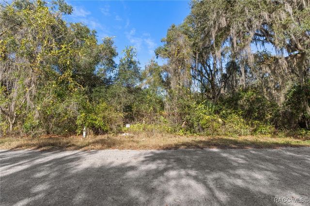 4351 E Mate Lane, Hernando, FL 34442