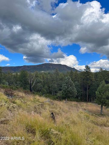 131 E JACKSHOE Trail, Payson, AZ 85541