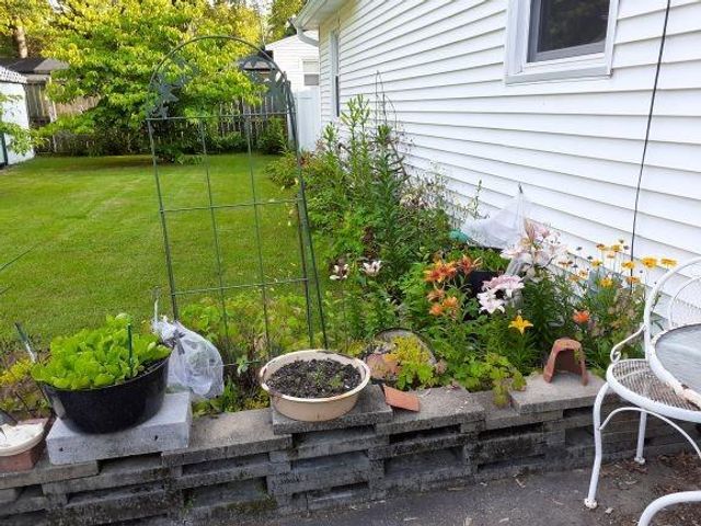 1128 N Clay Street, Nevada, MO 64772