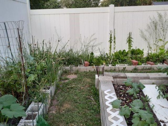 1128 N Clay Street, Nevada, MO 64772