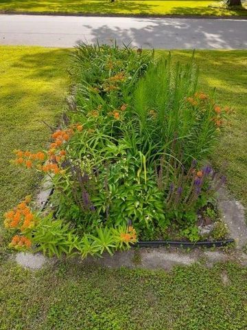 1128 N Clay Street, Nevada, MO 64772