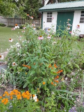 1128 N Clay Street, Nevada, MO 64772