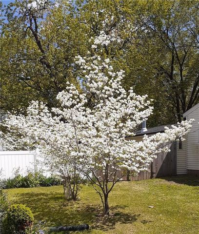 1128 N Clay Street, Nevada, MO 64772