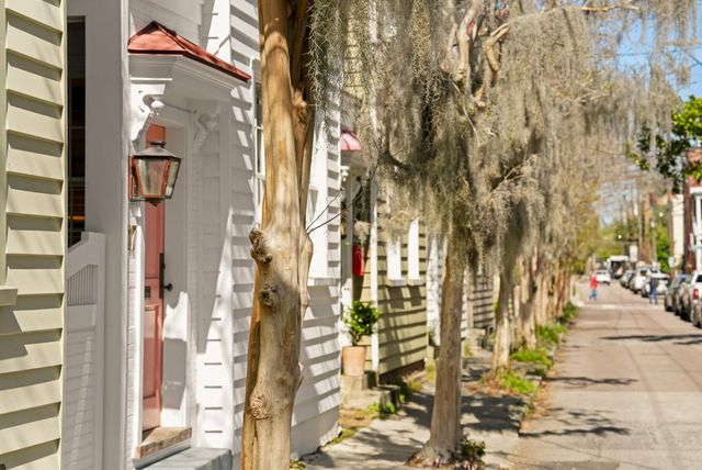 17 Anson Street, Charleston, SC 29401