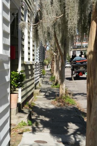 17 Anson Street, Charleston, SC 29401