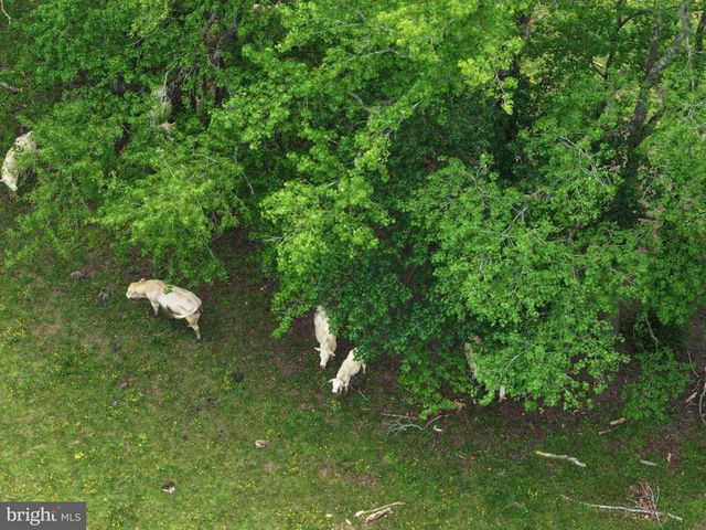 9001 ASDEE LN, Spotsylvania, VA 22551