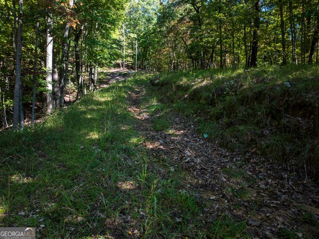 LOT 3- 2.3 ACRE Arrowhead Drive, Mineral Bluff, GA 30559