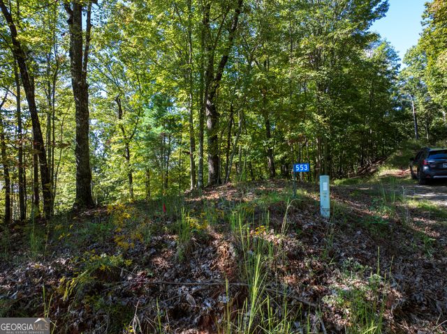 LOT 3- 2.3 ACRE Arrowhead Drive, Mineral Bluff, GA 30559