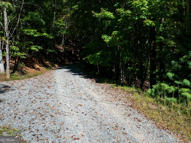 LOT 3- 2.3 ACRE Arrowhead Drive, Mineral Bluff, GA 30559
