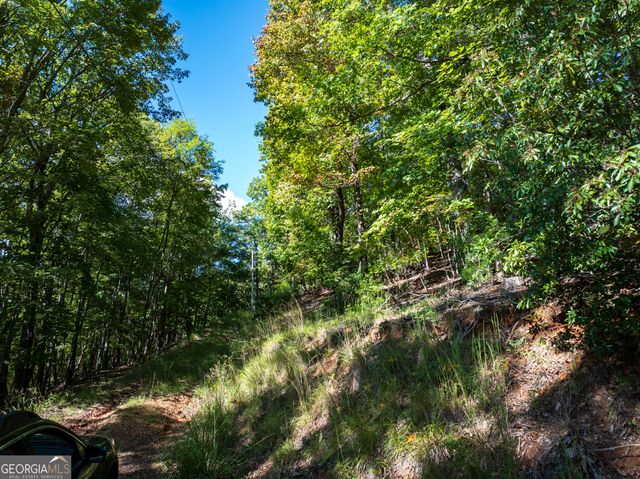 LOT 3- 2.3 ACRE Arrowhead Drive, Mineral Bluff, GA 30559