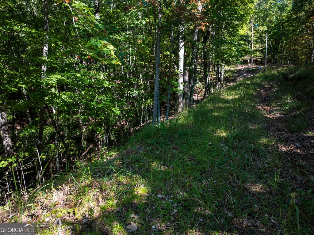 LOT 3- 2.3 ACRE Arrowhead Drive, Mineral Bluff, GA 30559