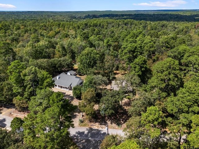 433 Knollwood Lane, Holly Lake Ranch, TX 75765