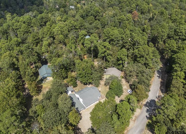 433 Knollwood Lane, Holly Lake Ranch, TX 75765