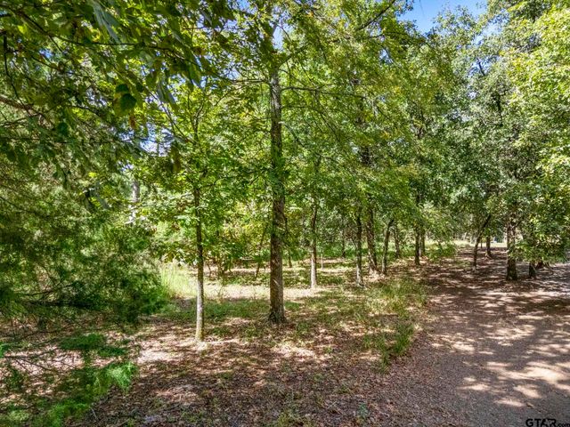 433 Knollwood Lane, Holly Lake Ranch, TX 75765