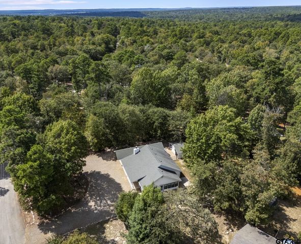 433 Knollwood Lane, Holly Lake Ranch, TX 75765