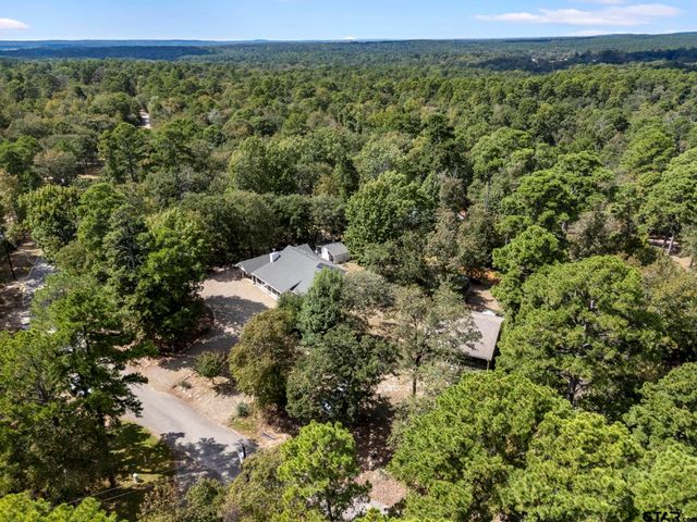 433 Knollwood Lane, Holly Lake Ranch, TX 75765