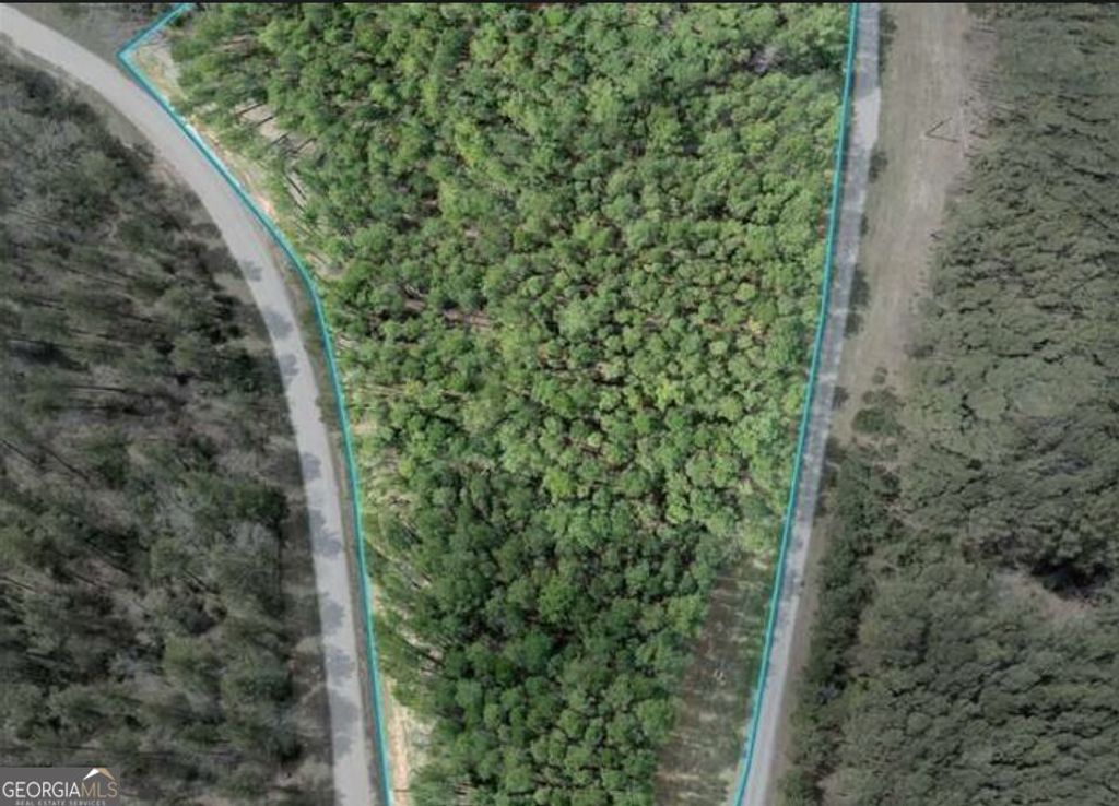 LOT 15T Hornets Bridge Drive, Elberton, GA 30635 — photo 3