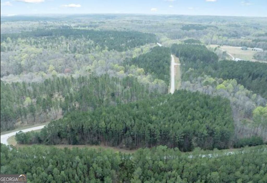LOT 15T Hornets Bridge Drive, Elberton, GA 30635 — photo 4