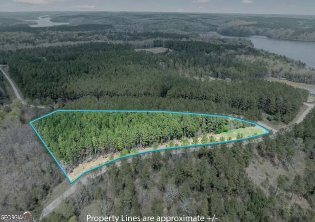 LOT 15T Hornets Bridge Drive, Elberton, GA 30635 — photo 5