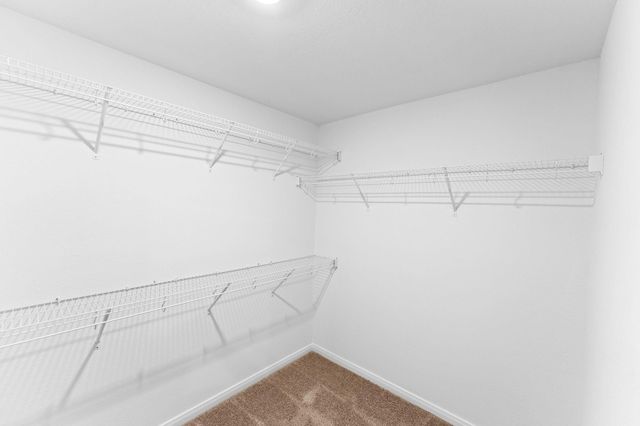 1139 Amy Drive, Kyle, TX 78640