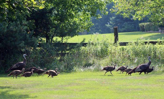 W292N3296 Summerhill ROAD, Pewaukee, WI 53072