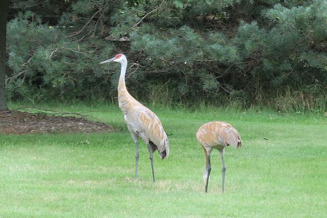 W292N3296 Summerhill ROAD, Pewaukee, WI 53072