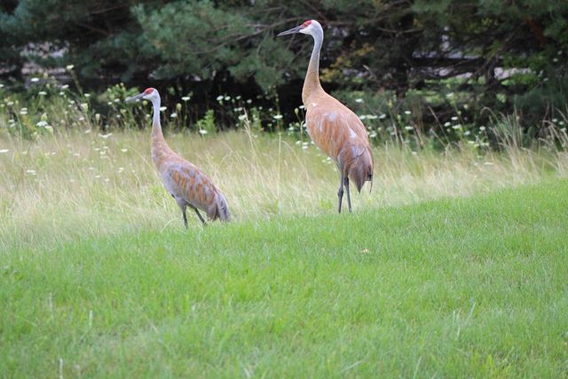 W292N3296 Summerhill ROAD, Pewaukee, WI 53072