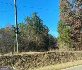 0 Pea Ridge Road, Juliette, GA 31046