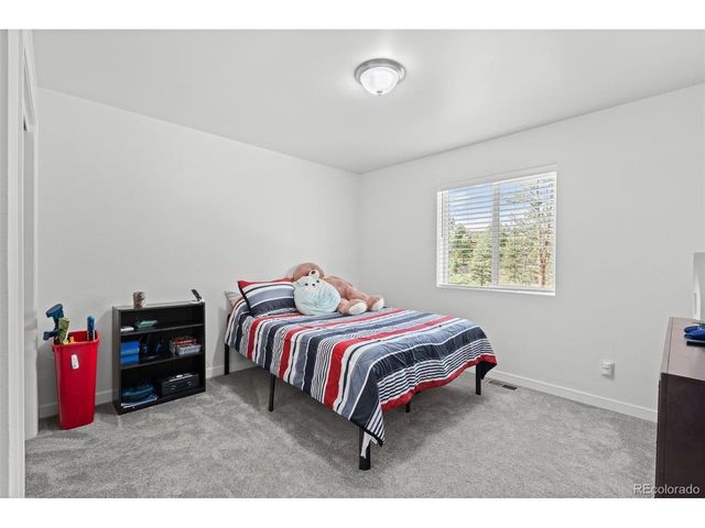125 Sun Way, Bailey, CO 80421