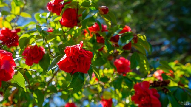 1427 Dawes St, Novato, CA 94947