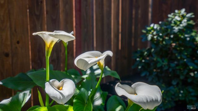 1427 Dawes St, Novato, CA 94947