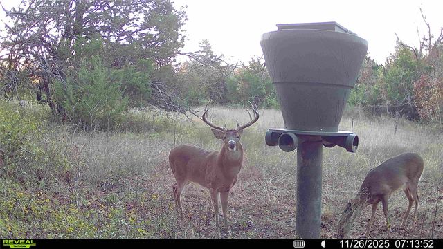 3750 County Road 325, Mckinney, TX 75069