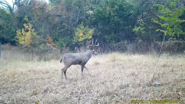 3750 County Road 325, Mckinney, TX 75069