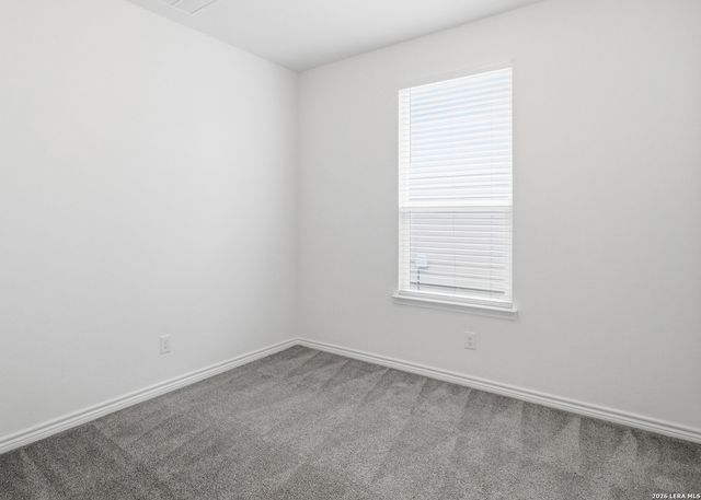 11634 Black Rose, San Antonio, TX 78245