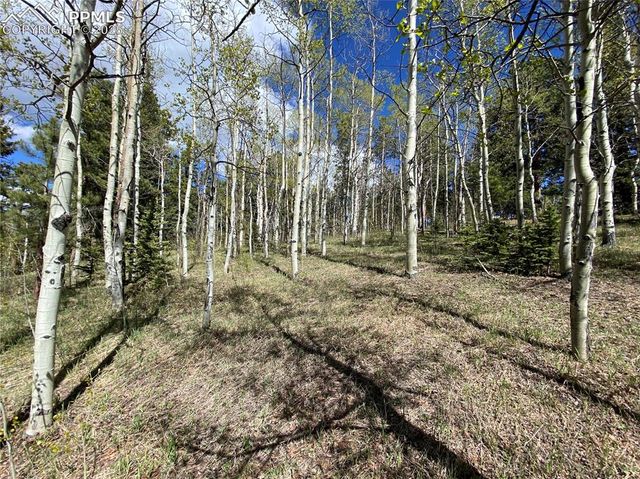 845 Markus Road, Woodland Park, CO 80863