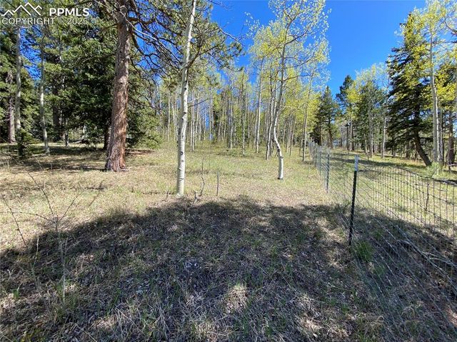 845 Markus Road, Woodland Park, CO 80863