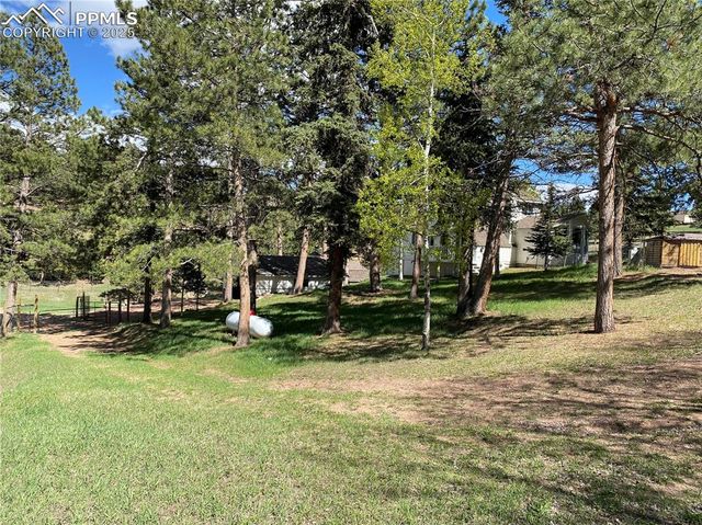 845 Markus Road, Woodland Park, CO 80863