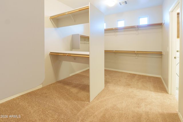 10112 E Cintron Drive, Mesa, AZ 85212