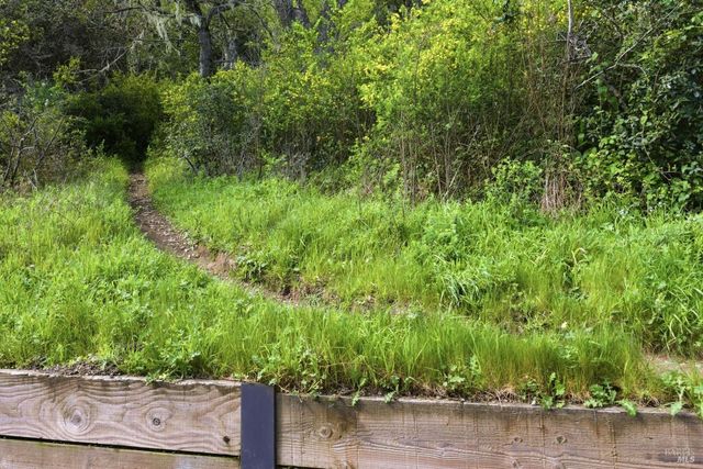 711 Forest Way, Mill Valley, CA 94941