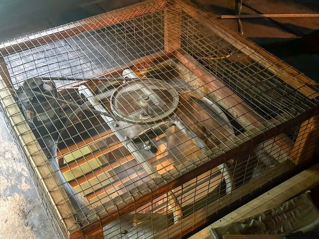 537 CHESTNUT Street, Meadville, PA 16335