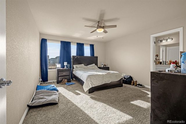 11436 Piping Plover Place, Colorado Springs, CO 80925