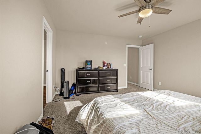 11436 Piping Plover Place, Colorado Springs, CO 80925