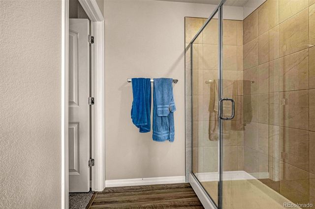 11436 Piping Plover Place, Colorado Springs, CO 80925