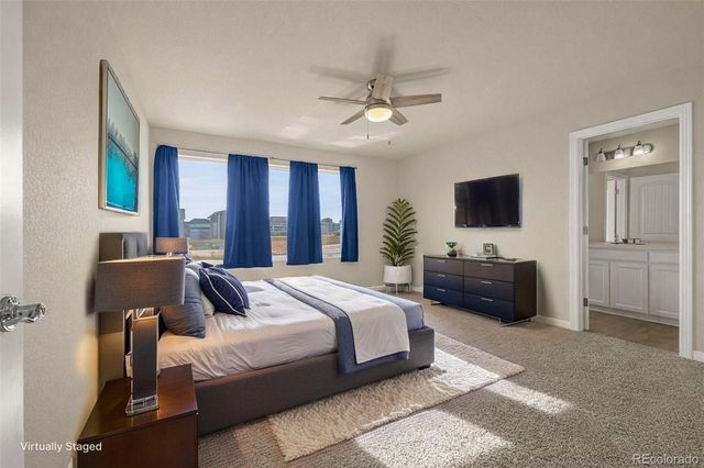 11436 Piping Plover Place, Colorado Springs, CO 80925